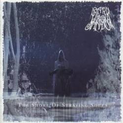 Dark Man Shadow : The Shore of Straying Souls